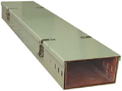 ��������ż�